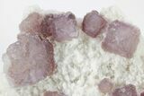 Purple, Stepped-Octahedral Fluorite on Quartz - Mexico #210642-1